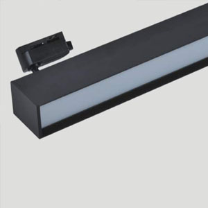 linear light with track adaptor