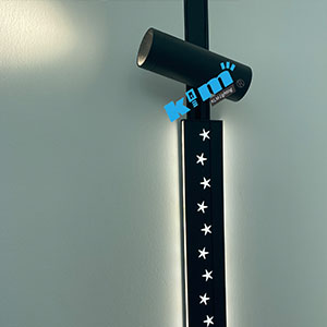 24v newest magnetic lighting system with star